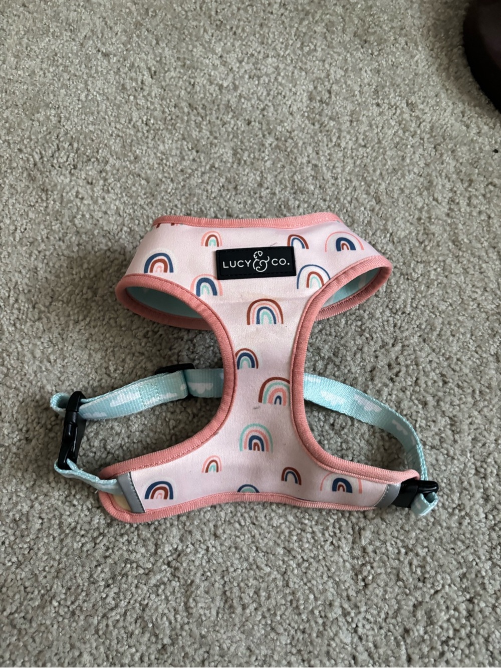 Lucy and co reversible size medium dog harness.